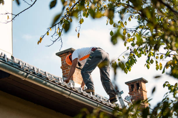 Quick and Trustworthy Emergency Roof Repair Services in Trinity, TX
