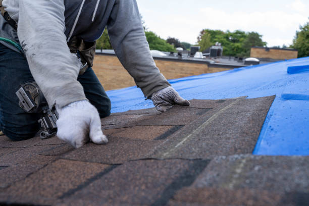 Best New Roof Installation  in Trinity, TX