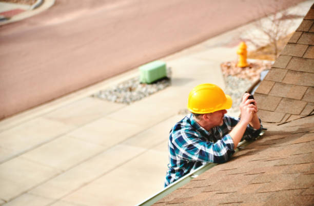 Best Roof Gutter Cleaning  in Trinity, TX