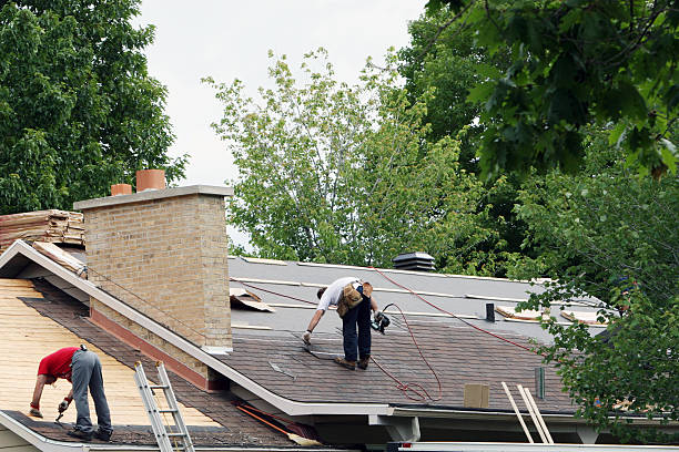 Best Gutter Installation and Roofing  in Trinity, TX