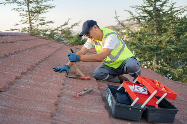 Best Roof Leak Repair  in Trinity, TX