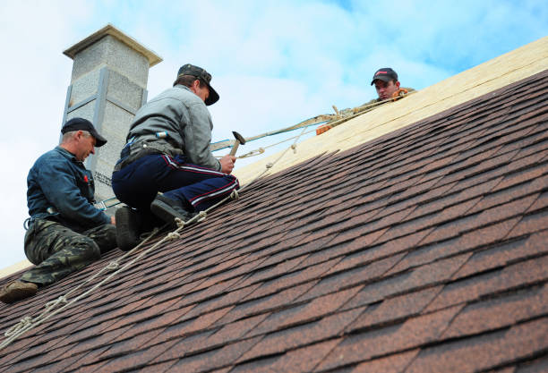 Best Sealant for Roof  in Trinity, TX